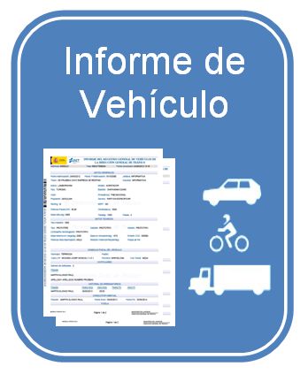 Informe Vehiculo